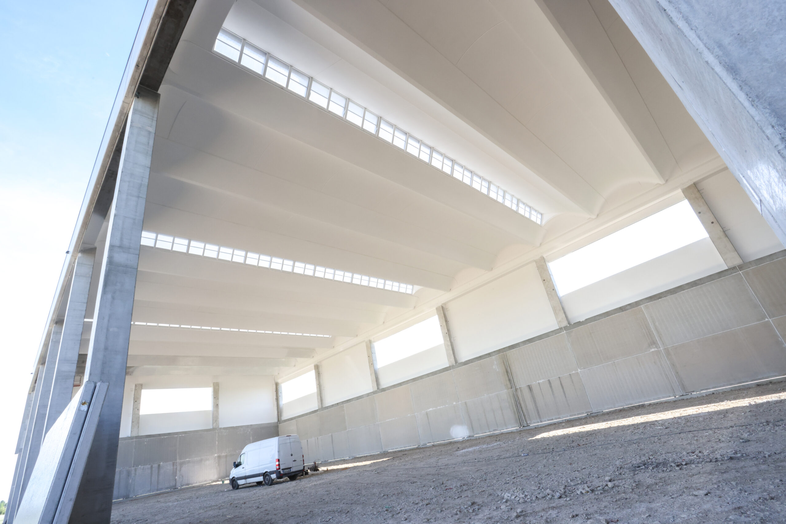 fratelli ferriani (15)